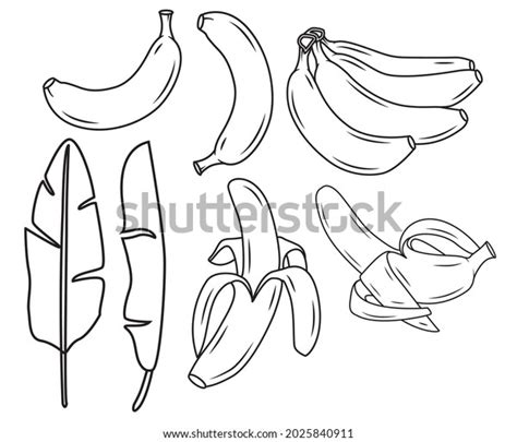 8,476 Outline Cartoon Banana Images, Stock Photos, 3D objects ...