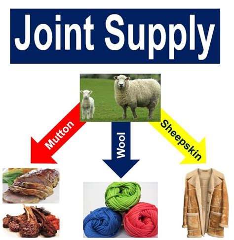 What is Joint Supply? Definition and Meaning, UK