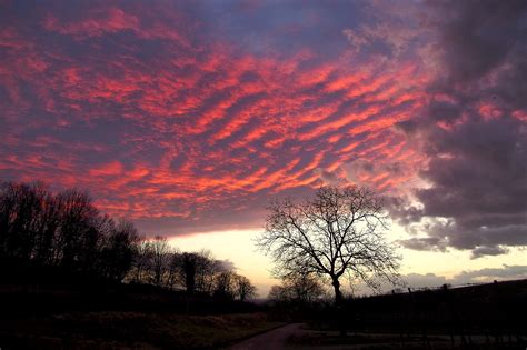 Clouds Heaven Tree - Free photo on Pixabay - Pixabay