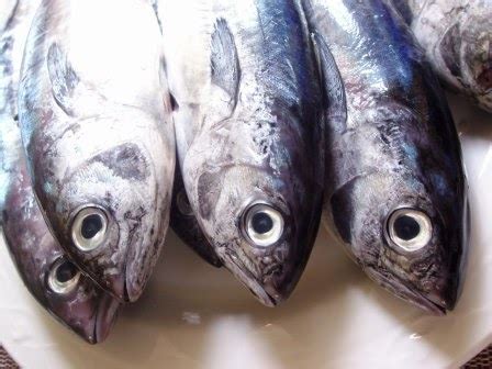 Top 10 Fishes You Can Buy in Philippine Markets | Most Beautiful