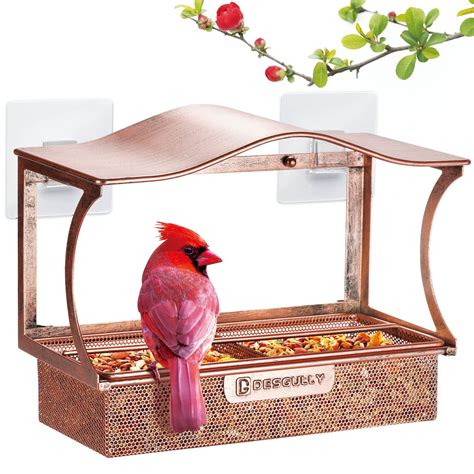 10 Best Window Dove Bird Feeders for Easy Viewing and Feeding ...