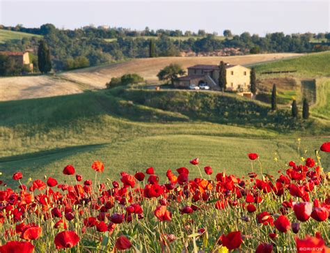 Can’t Miss Tuscany Attractions to See with the Kids - MiniTime