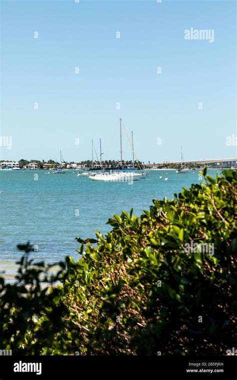 Sarasota Bay with the John Ringling Causeway bridge in the background ...