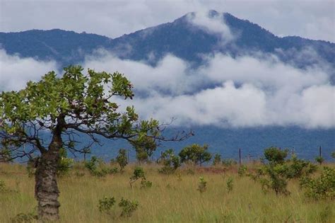 Kanuku Mountains: Protected Area (Guyana) | LAC Geo