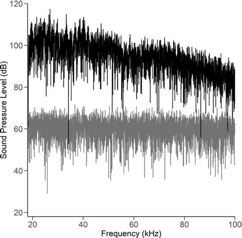 Sound spectrum Spectrum of sound produced under control (grey) and high ...