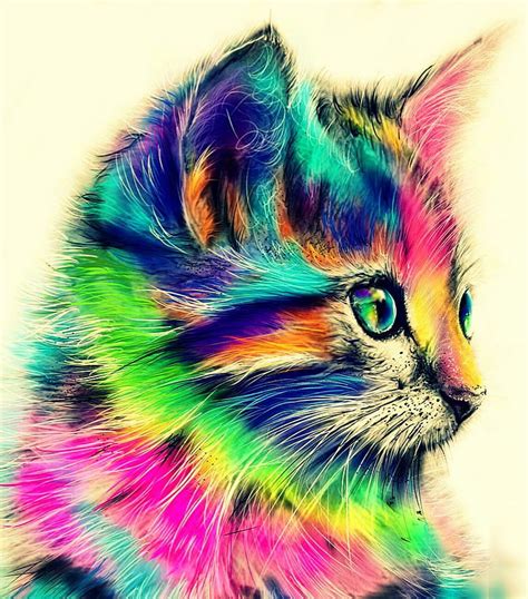 1366x768px, 720P free download | Colourful cat, rainbows, cute, wonder ...