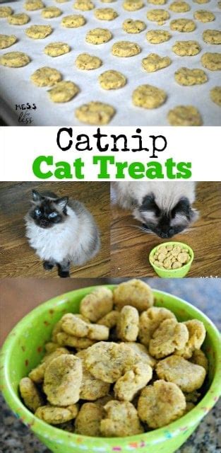 Catnip Cat Treats Recipe - Mess for Less