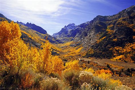 Fallscapes-Ruby Mountains & Lamoille Canyon - Ruby Mountain Photography