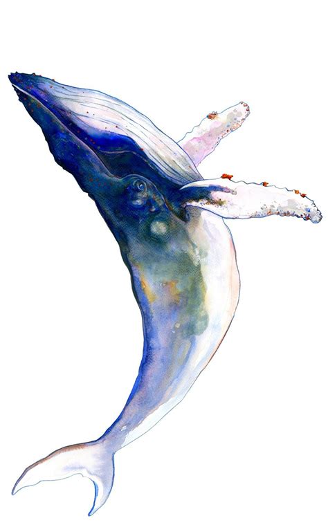 1000 Drawings ! : Photo | Whale art, Watercolor whale, Watercolor art