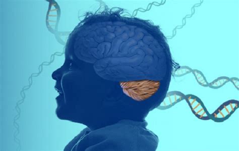 Scientists Discover Rare Neurological Disease that Could Impact ...