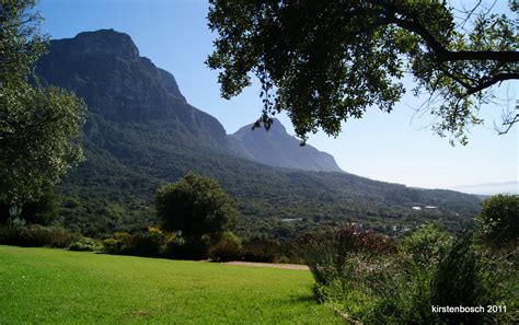 litsje: Kirstenbosch Gardens