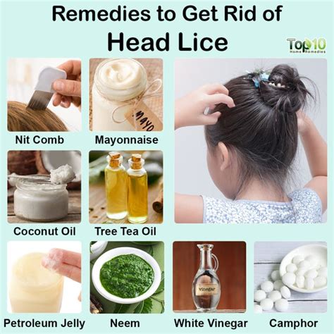 How to Get Rid of Head Lice: 10 Tips and Remedies | Top 10 Home Remedies