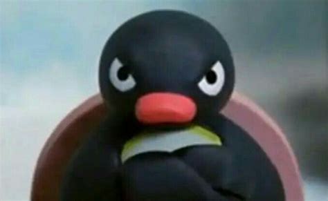 Funny Pingu Memes