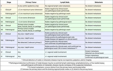 Merkel cell carcinoma: An update and review: Pathogenesis, diagnosis, and staging - ScienceDirect