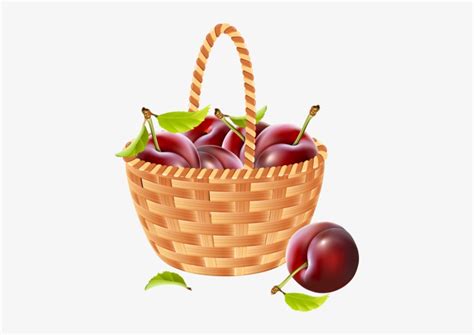 1 - Apple In The Basket Vector .png Transparent PNG - 423x500 - Free Download on NicePNG