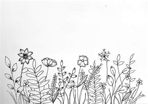 Wildflower Pen Drawing | Flower drawing, Flower line drawings, Doodle art flowers