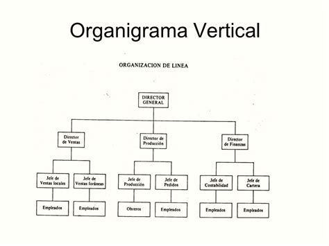 Organigrama Vertical Y Horizontal | Images and Photos finder