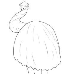 Flightless Emu Birds Coloring Page for Kids - Free Emus Printable Coloring Pages Online for Kids ...