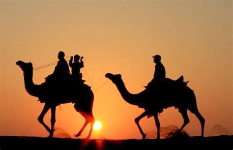 Camel Safari In Rajasthan To Witness The Desert Life Of The Country ...