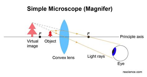 Microscope Ray Diagram