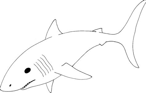 Great White Shark Clipart - Cliparts.co