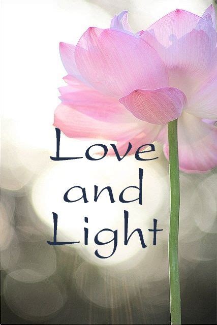 Love and Light! | Love and light quotes, Love and light, Light quotes