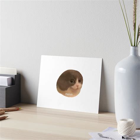 "Melvin Cat Meme" Art Board Print for Sale by surrile | Redbubble