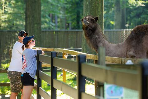 ‘Brew at the Zoo’ returns to Springfield’s Forest Park - News 413