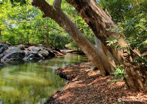 Yala National Park - GlobeTrove