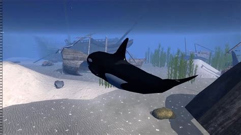 Orca Whale Simulator 3D | Ultimate Ocean Simulator, By Gluten Free ...