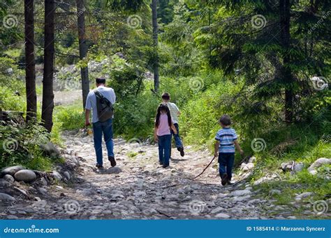 Time Hiking with Dad stock photo. Image of dense, bond - 1585414