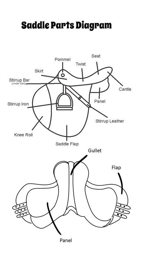 17 Best Images of Saddle Worksheets Printable - Part Western Saddle Fill in Blank Worksheet ...