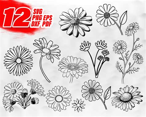 Daisy SVG File Free