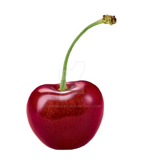 Fruit of a cherry on a transparent background by PRUSSIAART on DeviantArt