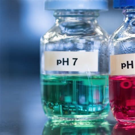 How to Design an Experiment to Test How pH Affects Enzyme Reactions ...