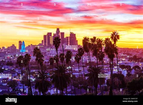 View of downtown Los Angeles skyline with palm trees at sunset travel ...