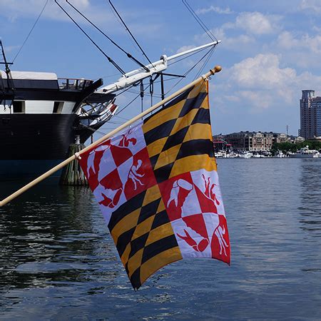 Maryland Crab Flag