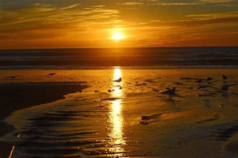 Sunset at Moonlight Beach - Encinitas | Moonlight photography, Sunset, Sunrise sunset