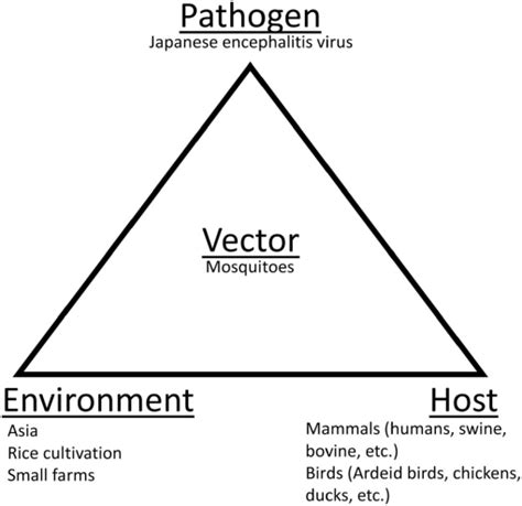 Japanese Encephalitis Virus: Placing Disease Vectors in the Epidemiologic Triad