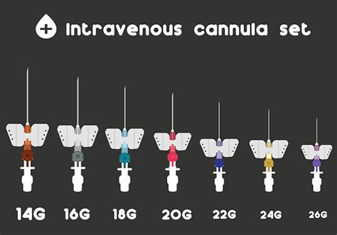 Intravenous Cannula Set Different Sizes Of Intravenous Cannula Stock ...