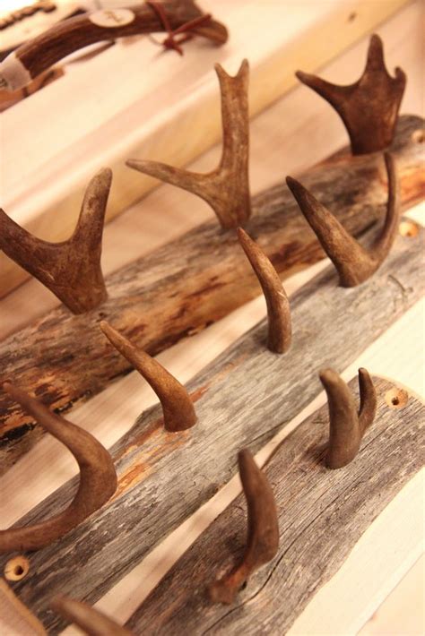 25+ unique Deer antler crafts ideas on Pinterest | Deer horns decor, Elk antlers and Hunting ...