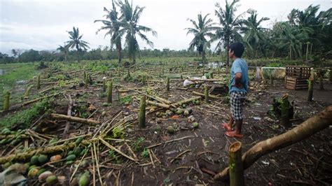 Typhoon Ulysses agricultural damage nears P1 billion