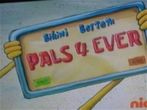 spongebob driver license episode - Celine Berman