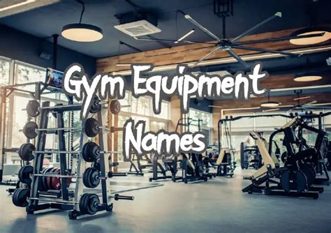 Gym equipment names - mazcr