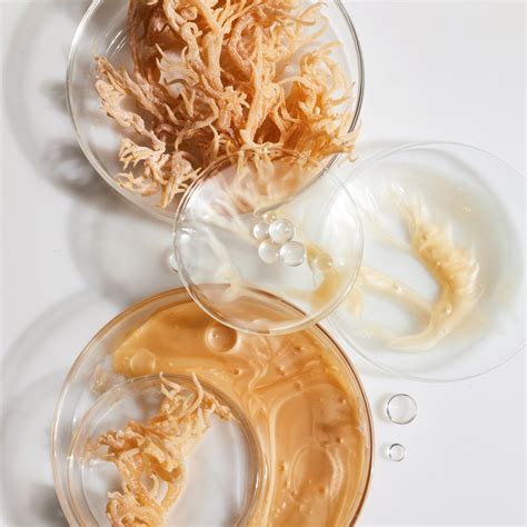 How to Make and Use Sea Moss Face Mask: 5 Easy Steps - Alkaline Vegan ...