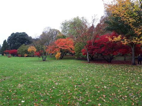 Bute Park (@buteparkcardiff) | Twitter