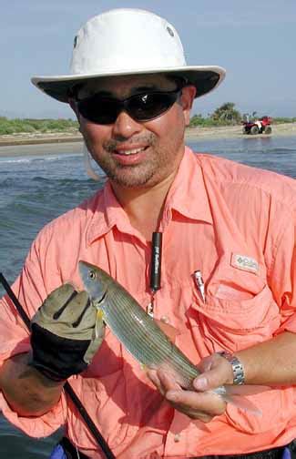 Eastern Pacific Bonefish pictures and species identification