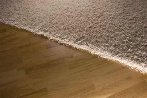 Carpet Vs Hardwood Flooring - Mr Carpet™