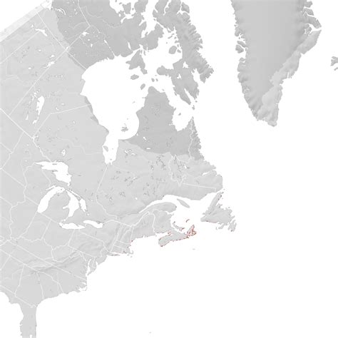 Great Cormorant - Range map: Breeding - eBird Status and Trends