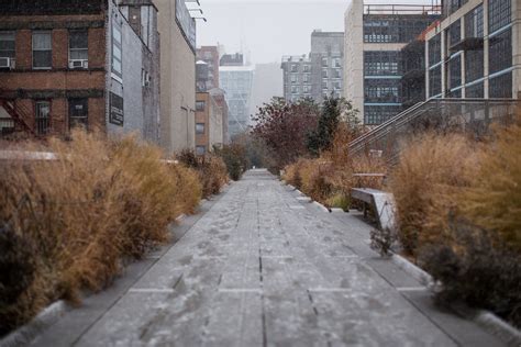 Fall Snow on High Line NYC | During the first snow storm of … | Flickr